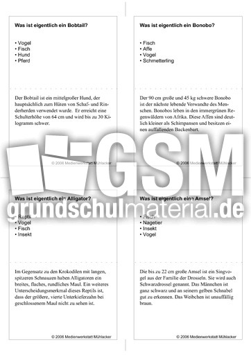 Quiz-Karten-Tiernamen 30.pdf